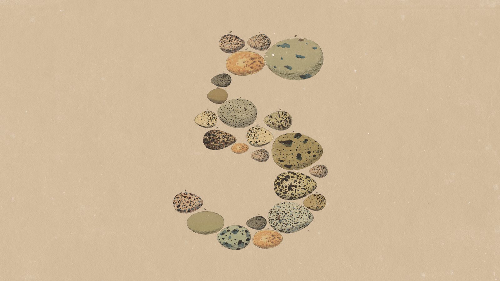 Visuel officiel de présentation de Claude Opus 5 par Anthropic